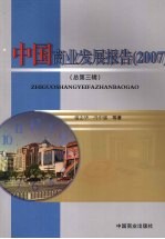 中国商业发展报告 2007