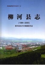 柳河县志 1986-2000