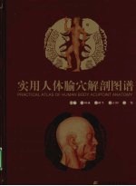 实用人体腧穴解剖图谱