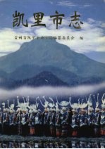 凯里市志 下