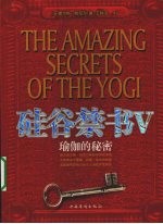 硅谷禁书 瑜伽的秘密 5