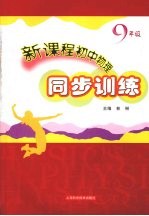 新课程初中物理同步训练 (九年级)