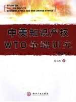中美知识产权WTO争端研究