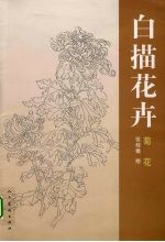 白描花卉 菊花