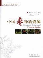 中国枣种质资源