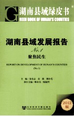 湖南县域发展报告 No.1