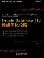 Oracle Database 11g 性能优化攻略