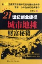 21世纪创业捷径 城市地摊财富秘籍