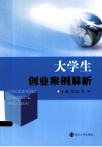大学生创业案例解析