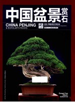 中国盆景赏石 2013-1