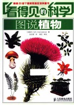 看得见的科学 图说宇宙