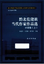 黔北仡佬族当代作家作品选 小说卷 上