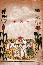 老百姓丛书 土方子