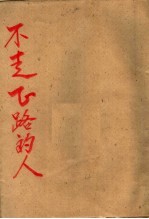 不走正路的人 短篇小说集