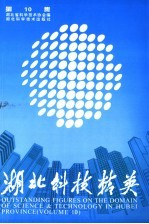 湖北科技精英 第10集
