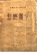 怎么办? 新人的故事 下