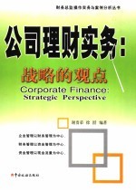 公司理财实务 战略的观点 strategic perspective