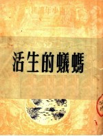 蚂蚁的生活 第2版
