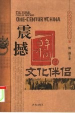 走进世纪文化名门 3 震撼百年中国的文化伴侣