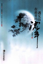 遇见你,在最美的流年