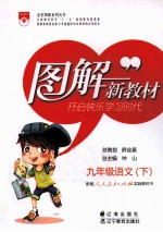图解新教材 语文 九年级 下 人教实验版