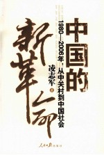 中国的新革命 1980-2006年,从中关村到中国社会