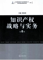 知识产权战略与实务