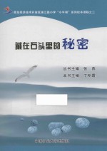 藏在石头里的秘密