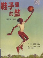 鞋子里的盐 迈克尔·乔丹