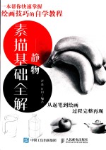 素描基础全解 静物