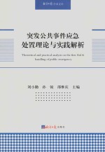 突发公共事件应急处置理论与实践解析