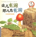 这儿有洞那儿也有洞 大自然中的洞