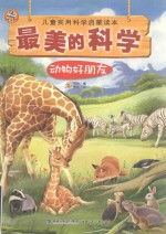 动物好朋友