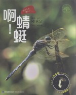 啊!蜻蜓