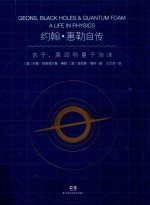 约翰 惠勒自传 京子、黑洞和量子泡沫
