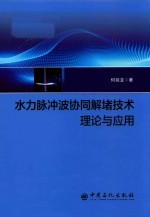 水力脉冲波协同解堵技术理论与应用
