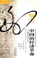 中国的经济革命 20世纪的乡村工业