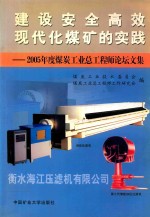 建设安全高效现代化煤矿的实践 2005年度煤炭工业总工程师论坛文集