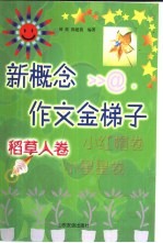 新概念作文金梯子 稻草人卷