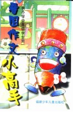 看图作文小高手 供小学中年级学生用