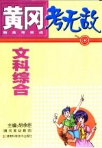 黄冈考无敌 新高考实战 文科综合