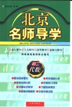 北京名师导学:初二代数