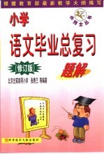 小学语文毕业总复习题解 修订版