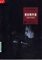委拉斯开兹 画家中的画家