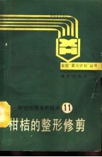 柑桔的整形修剪