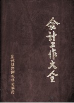 会计工作大全 下