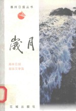 岁月 惠州日报报告文学选