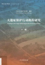 大遗址保护行动跟踪研究 下