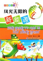 风光无限的新能源