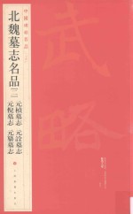北魏墓志名品 2 元桢墓志 元诠墓志 元倪墓志 元纂墓志